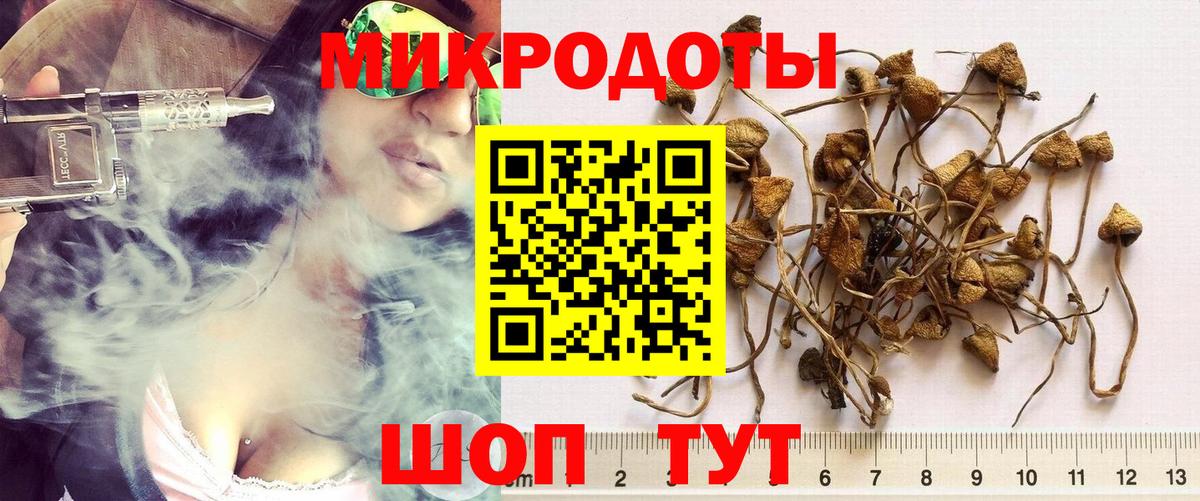 Галлюциногенные грибы мицелий  Вход с VPN  цена   Галлюциногенные грибы GOLDEN TEACHER  Лесозаводск 