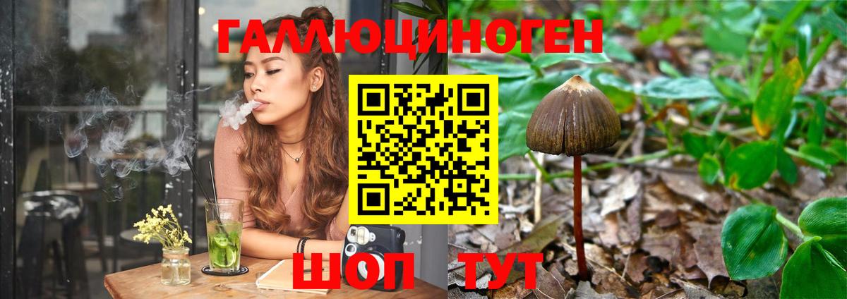 Галлюциногенные грибы GOLDEN TEACHER Лесозаводск